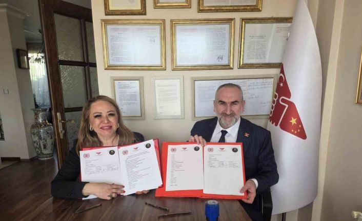 Türkiye - Çin arasında "Sağlık, Sanayi ve Ticarette Stratejik" iş birliği protokolü imzalandı