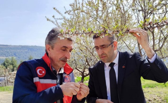 Uşak İl Tarım ve Orman Müdürlüğü ekipleri üreticiyle bir araya geldi