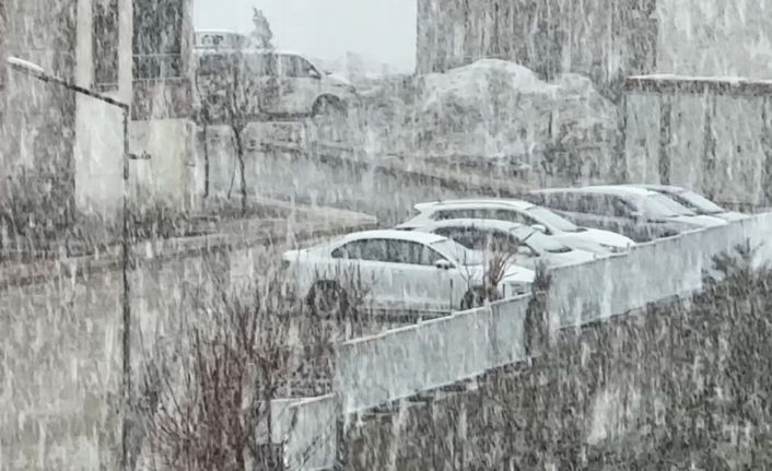 Yüksekova’da kar ve sis etkili oldu: Görüş mesafesi 20 metreye düştü