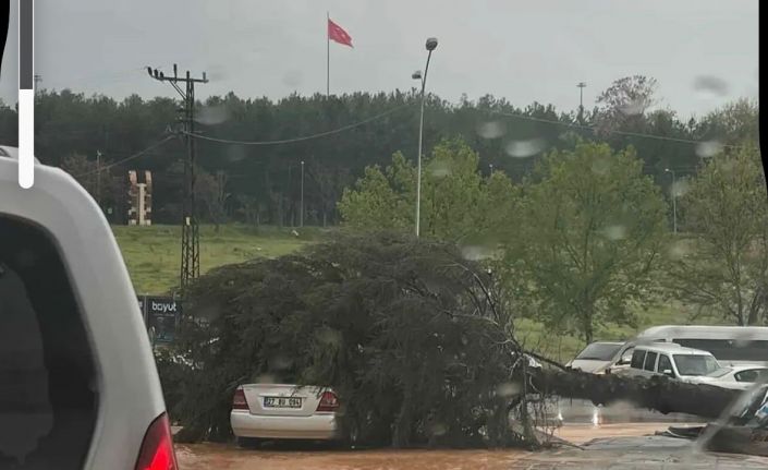 Çatılar uçtu, ağaçlar devrildi, park halindeki araçlar büyük zarar gördü