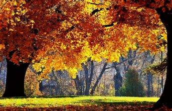 İstanbul'a pastırma yazı geliyor