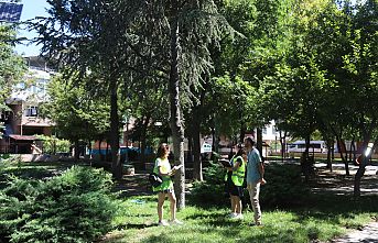 Kartal Belediyesi, Yeşil Dostu Çalışmalarına Ara Vermeden Devam Ediyor