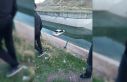 Diyarbakır’da otomobil su kanalına uçtu