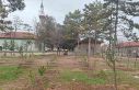 Umraniye köylüleri 300 adet fidanı okul ve camii...