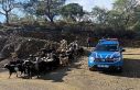 Antalya’da kaybolan 55 küçükbaş hayvan jandarma...