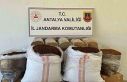 Antalya’da yolcu otobüsünde yarım ton kaçak...