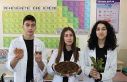 Çay atığından antibakteriyel ürün geliştirdiler