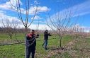 Iğdır’da çiftçilere uygulamalı meyve ağacı...