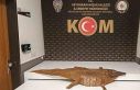 Polis durdurduğu araçta timsah derisi ele geçirdi