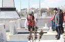 Siirt’te bayram öncesi şehitliklerde bakım, onarım...
