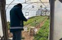 Tavşanlı’da KOBÜKS kapsamında sera kontrolleri