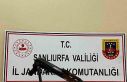 Viranşehir’de uzun namlulu silah ele geçirildi