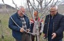 Bayburt’ta üreticilere aşılama ve budama eğitimi...