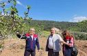 Buharkent’te ilek bahçeleri kontrol edildi
