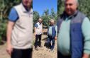 Didim’de zeytin üreticilerine zararlı uyarısı