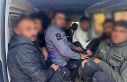 Göçmenler balık istifi gibi taşınırken yakalandılar