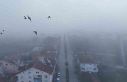Kastamonu’da yoğun sis
