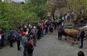 Geçmişten günümüze: Kemaliye’de şükür kurbanı