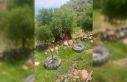 Gercüş’te traktör uçuruma yuvarlandı, sürücü...