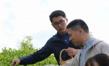 Çin’den gelen akademisyenler Rize’de çay topladı