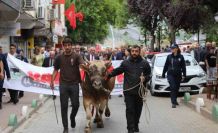 44. Kafkasör Festivali boğalı kortej yürüyüşüyle başladı