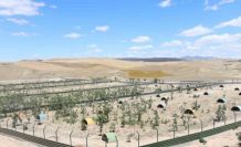 Aksaray’da sahipsiz hayvanlar yeni yuvalarına kavuştu