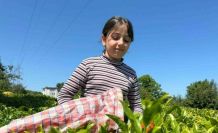 ÇAYKUR’dan üreticilere fırsatçılara yönelik uyarı