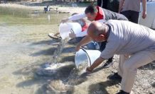 Nevşehir’de 856 Bin yavru sazan balığı sularla buluştu