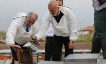 Elazığ arı kovanları incelendi