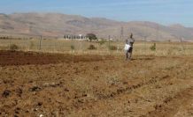 Gercüş’te çiftçiler tohumlarını toprakla buluşturuyor