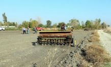 Mera alanları işgalden kurtarılıyor