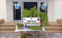 Mersin’de kenevir ekip uyuşturucu üreten şüpheli tutuklandı