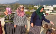 Osmaniye’de evin bacasına yıldırım düştü