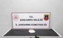 Şanlıurfa’da uyuşturucu operasyonu: 2 gözaltı