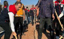 Şırnak-Cizre karayolu refüjünde 365 fidanlık ağaç dikimi yapıldı