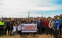 Tunceli’de 3 bin fidan toprakla buluştu