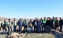 Beylikova Belediyesi bin adet karaçam fidanı dikti