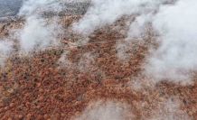 Çankırı’da sis ve kızıla bürünen ormanların buluşması mest etti