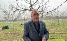 Cevizle yaşam şartları değişen köyde İstanbullular da bahçe kuruyor