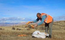 Elaızığ’da doğaya yem bırakıldı