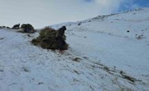 Erciş’te asırlık kış mesaisi: Otlar kızaklarla köye taşınıyor