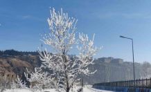 Göle eksi 16 dereceyi gördü, ağaçlar kırağı tuttu