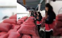 Kastamonu’da beyaz kum midyesi denetimi