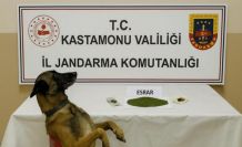 Kastamonu’da uyuşturucu operasyonu: 1 tutuklama