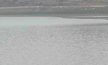 Sıhke Göleti’ne giren inek telef oldu