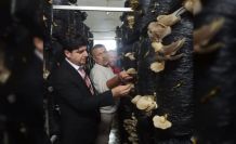 Sinop’ta mantar yetiştiriciliği eğitimi