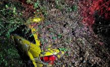 Sürücüsünün içinde olduğu otomobilin üzerine ağaç devrildi