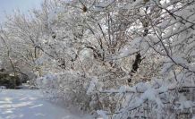 Batman’da kar manzaraları