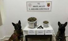 Bingöl’de uyuşturucu operasyonu: 3 gözaltı