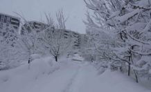 Bitlis’te kar esareti, 229 köy yolu ulaşıma kapalı